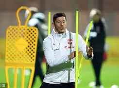  莱万什么水平 